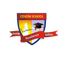 Cosom School